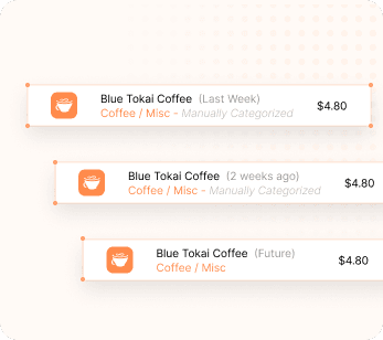 The same coffee-shop charge categorized manually three times
